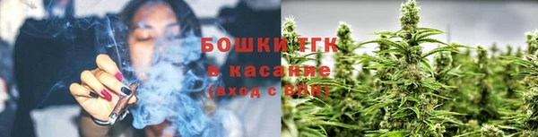 ГАЛЛЮЦИНОГЕННЫЕ ГРИБЫ Лиски