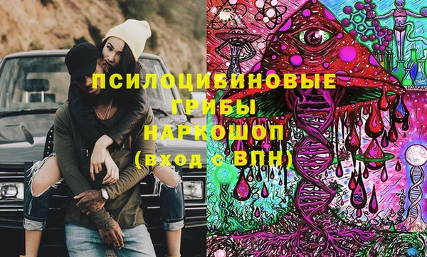 прущие крисы Магадан