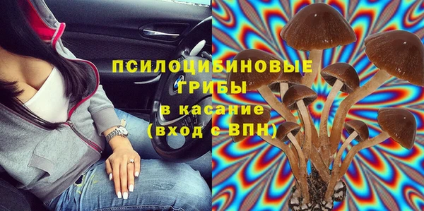 прущие крисы Магадан