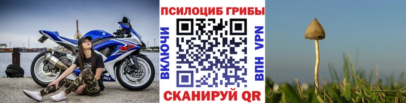 маркетплейс состав  Бирюсинск  Галлюциногенные грибы прущие грибы  ссылка на мегу маркетплейс 