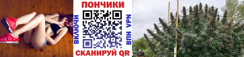 как найти закладки  площадка Telegram  kraken ONION  Канабис LSD WEED  Бирюсинск 